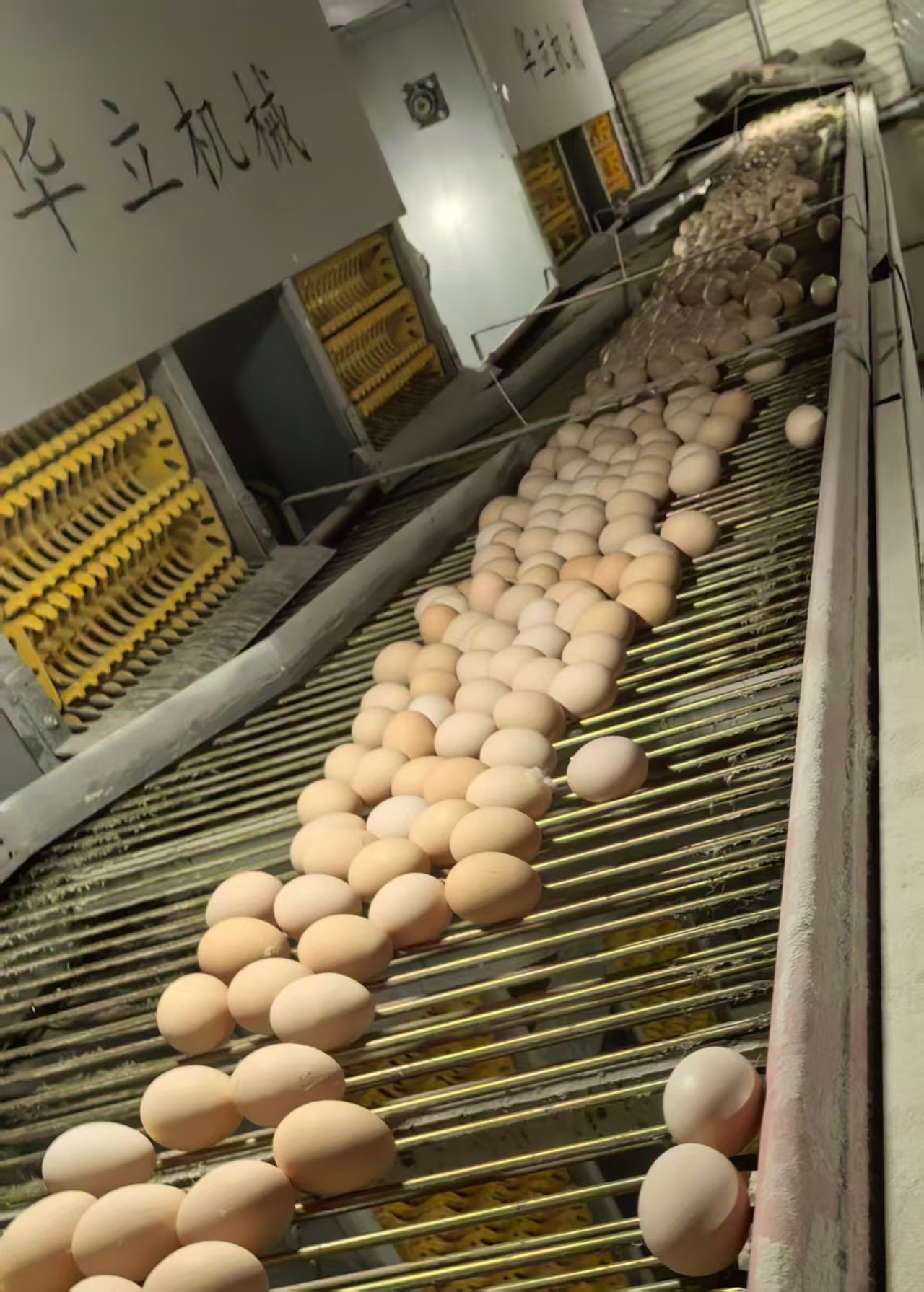 中央輸?shù)捌? title=